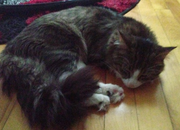 Раньше спали на полу, когда к родне в гости приезжали.</p>
<p>Сейчас сплю на полу - от жары спасаюсь