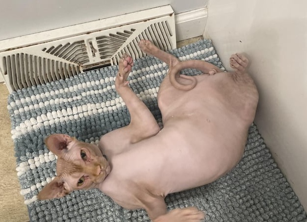 Люди знакомятся, влюбляются, расстаются, страдают, снова влюбляются… А я тут по коридору в шерстяных носках по линолеуму катаюсь